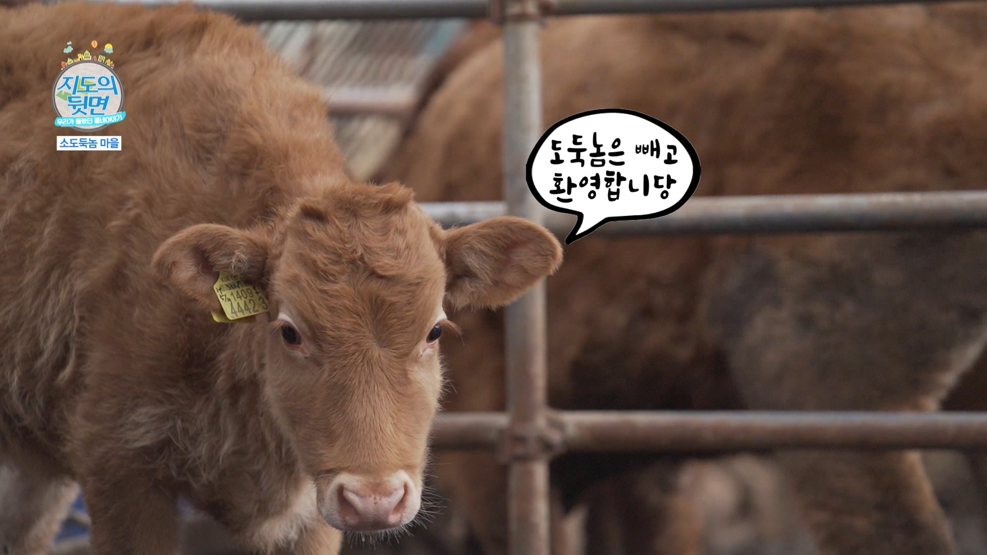 MBCNET-편성공지 - 지도의 뒷면 6회 (평창 소도둑놈 마을)