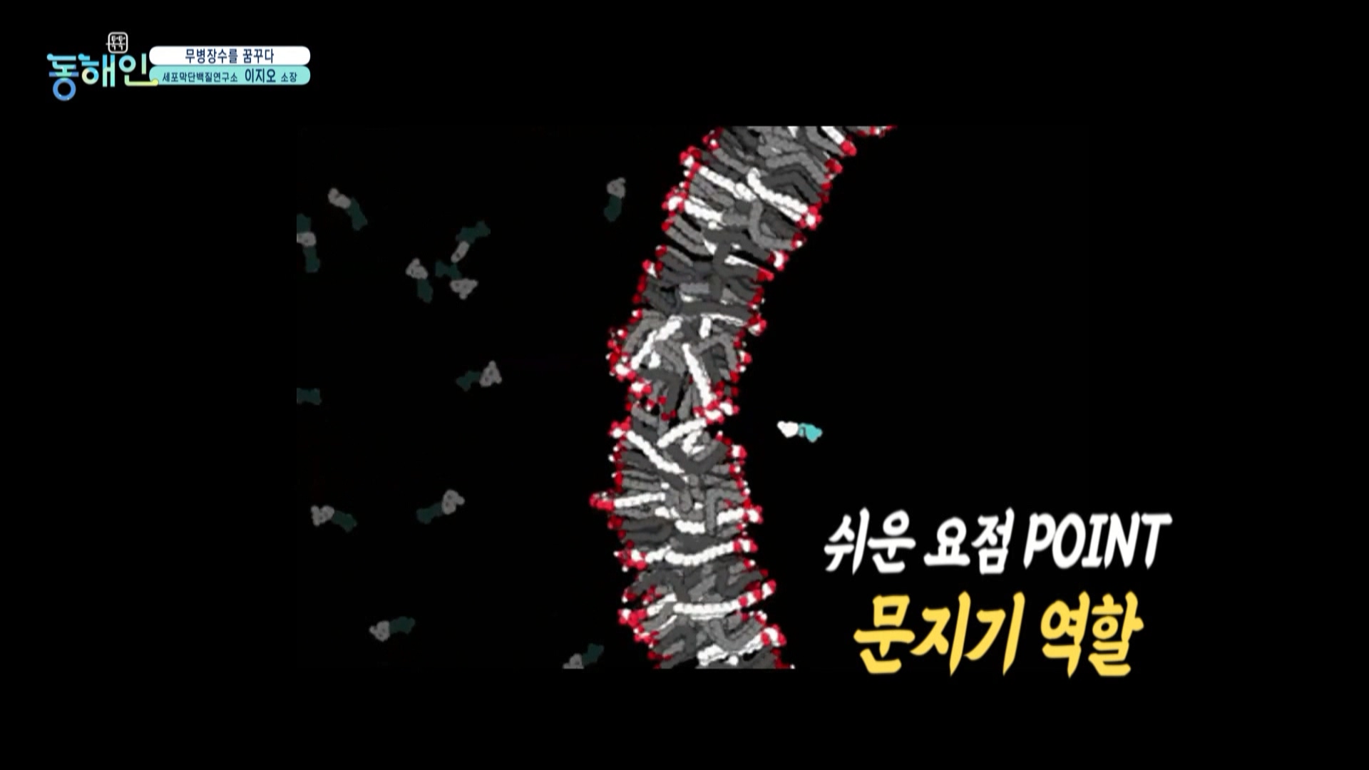 237회_톡톡동해인 본편 (0108 31분56초)_세포막단백질 연구소장_MPEG2-PS 1080i 50Mbps_1.mpg_20220119_140253.203.jpg