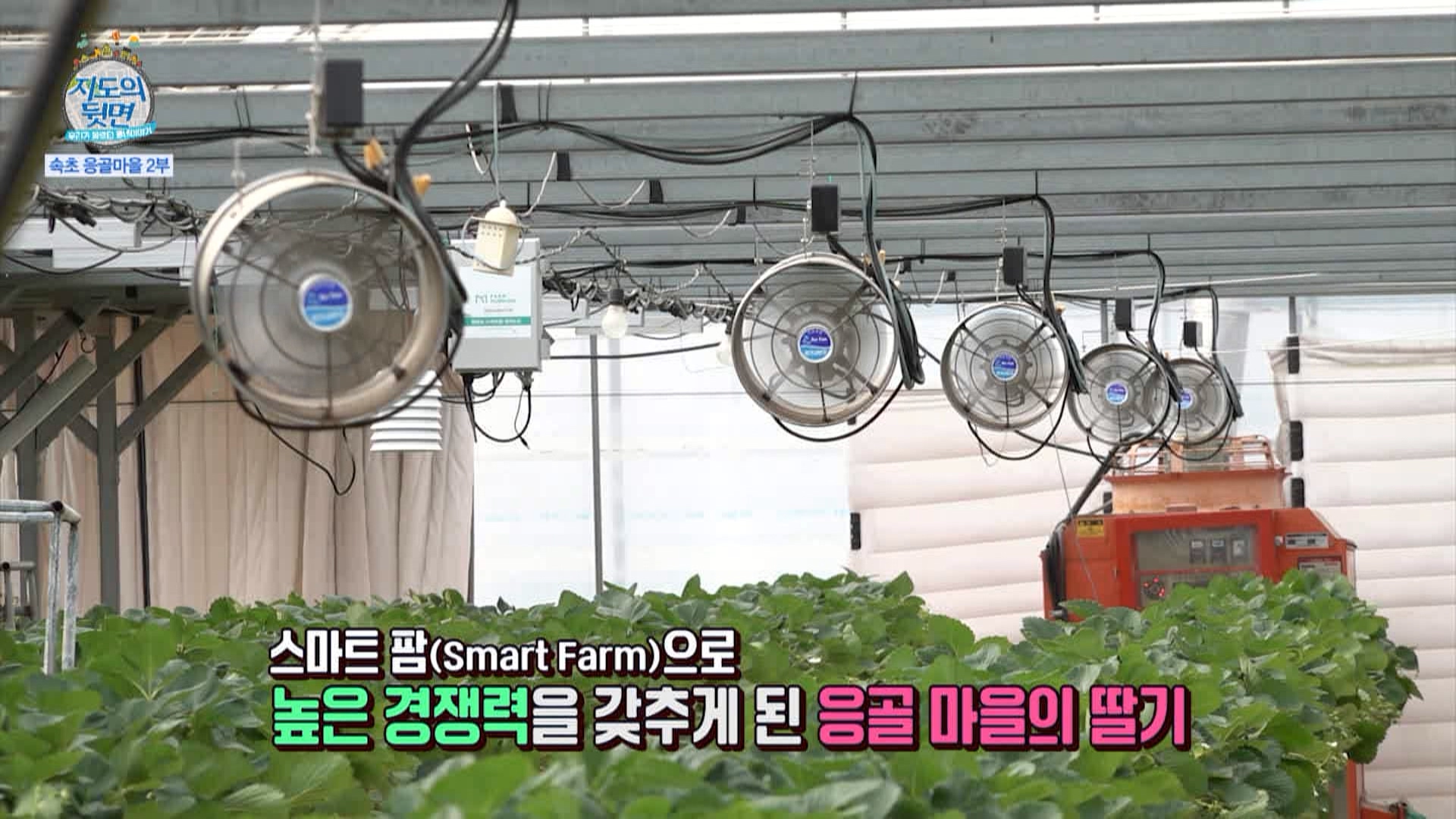 97회_ 지도의뒷면 (속초 응골마을 2부)_MPEG2-PS 1080i 50Mbps_1.mpg_20220119_134801.861.jpg