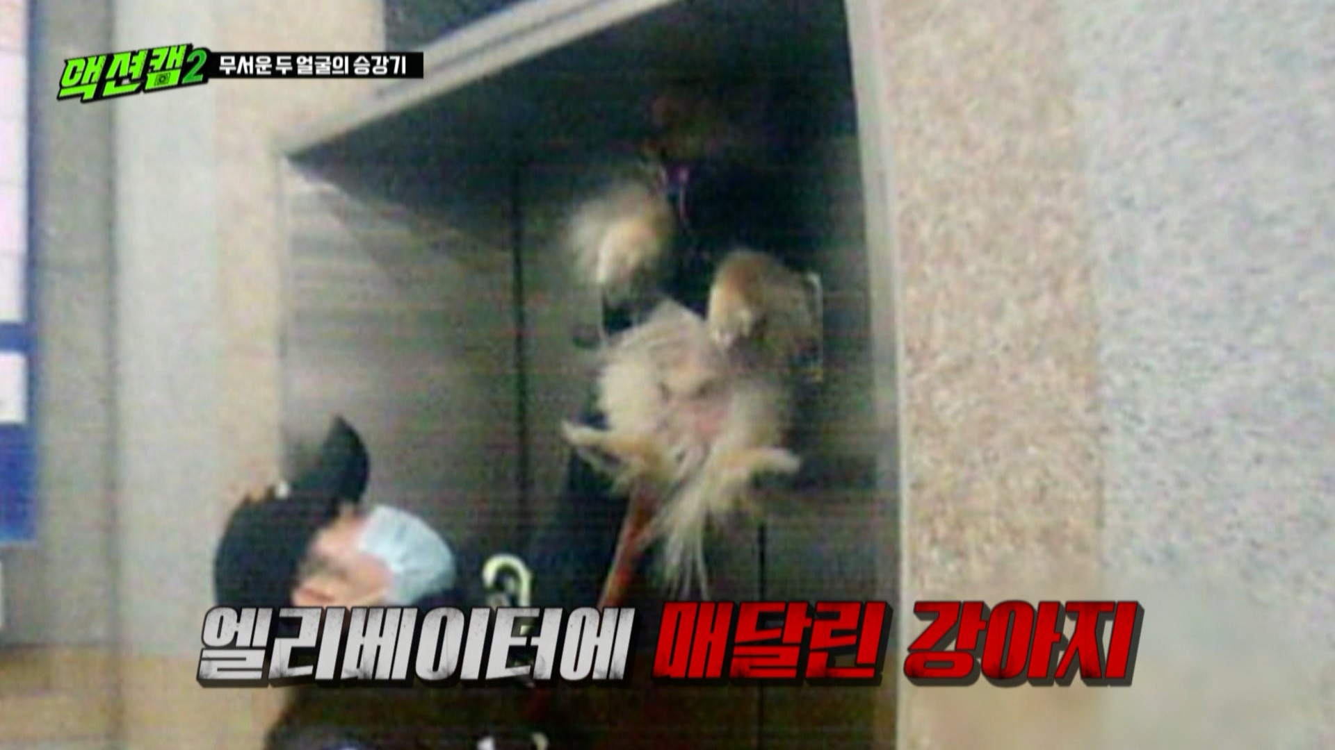[방송용] 211211 액션캠 시즌2 18화_MPEG2-PS 1080i 50Mbps_1.mpg_20220127_135939.165.jpg